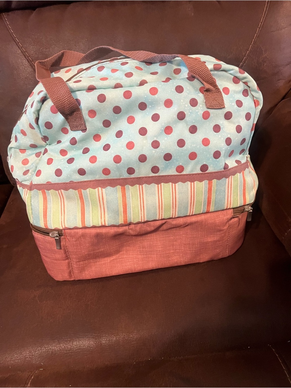 Polka Dot potluck bag